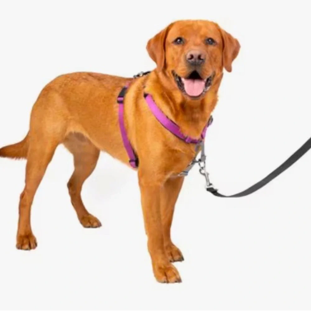 New Petsafe 3 in 1 harness Car Walk Jog L